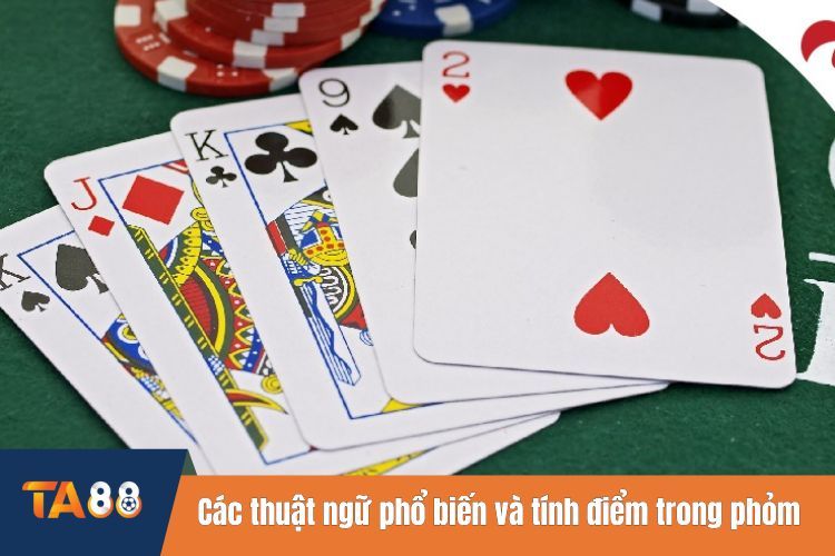 Các thuật ngữ phổ biến và cách tính điểm trong phỏm