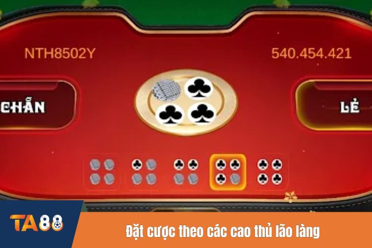 Đặt cược theo các cao thủ lão làng