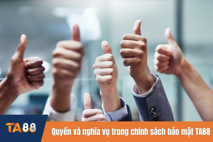 Quyền và nghĩa vụ của người dùng trong chính sách bảo mật TA88