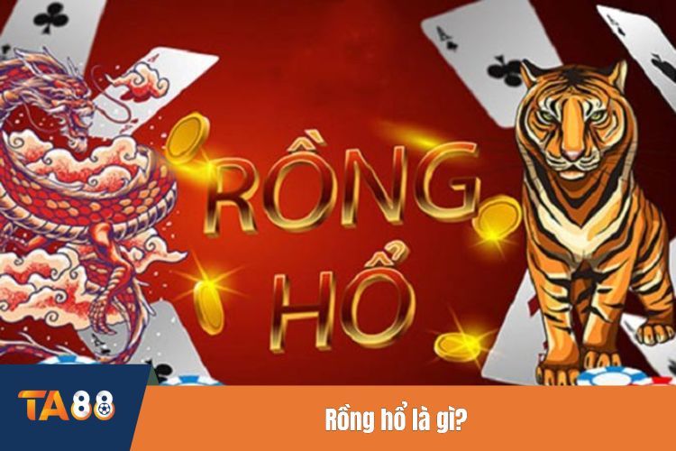 Rồng hổ là gì?