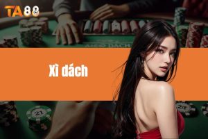 Xì dách - Cẩm nang để player dành được chiến thắng lớn