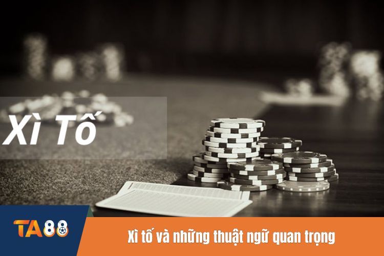 Xì tố và những thuật ngữ quan trọng