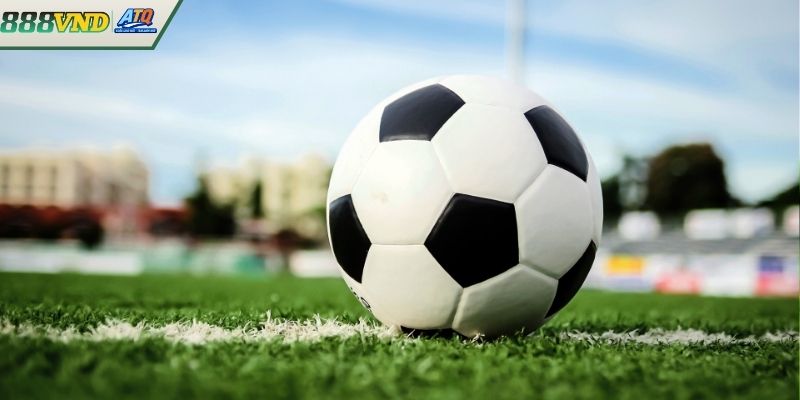 Kèo Rung Là Như Thế Nào? Phân Loại Và Cách Nhận Diện Kèo